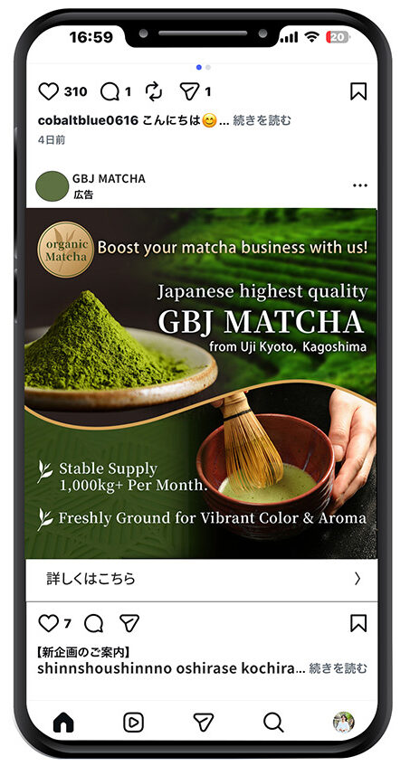 フィリピン　抹茶